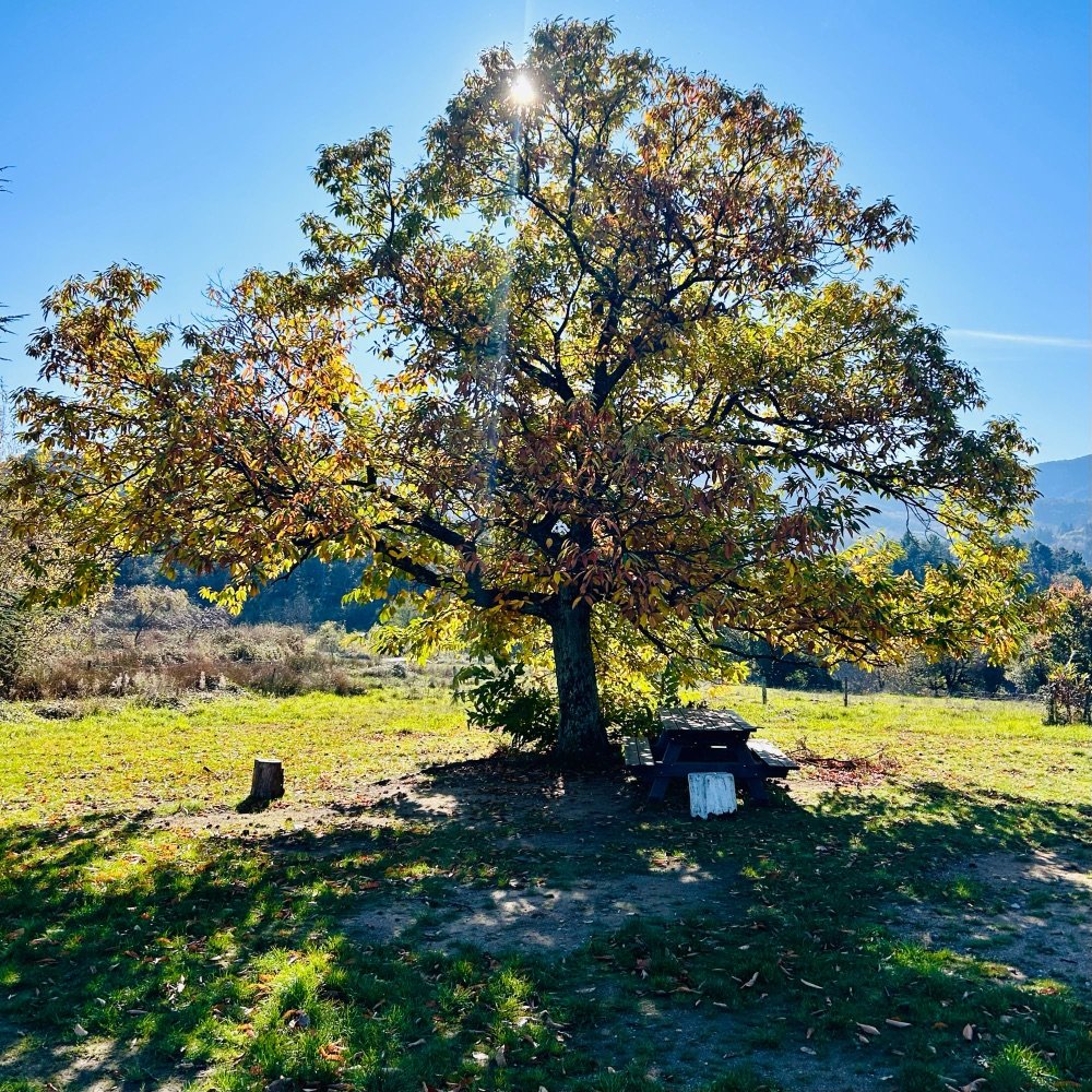 Raconte-moi l'Ardèche